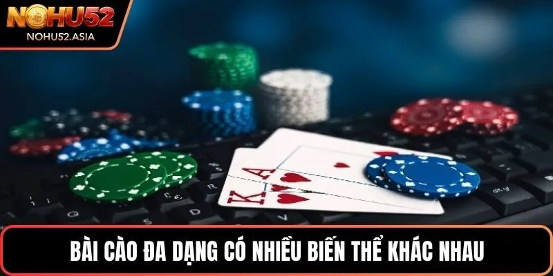 Bài cào đa dạng có nhiều biến thể khác nhau Bài cào đa dạng có nhiều biến thể khác nhau