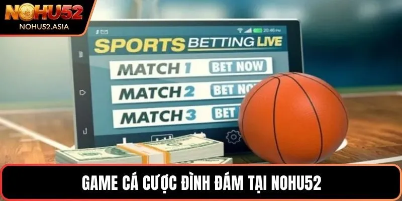 Game cá cược đình đám tại NOHU52 Game cá cược đình đám tại NOHU52